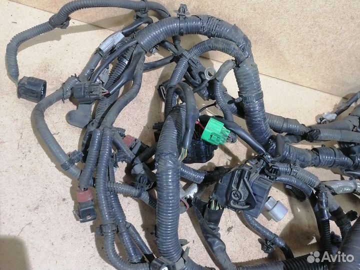 Проводка моторного отсека Nissan Juke 1.6 mr16ddt