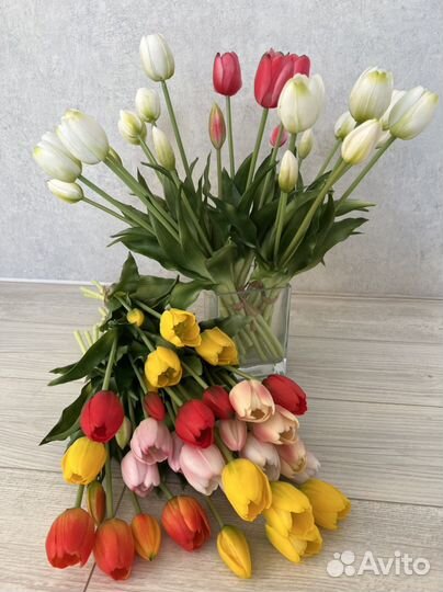 Новые тюльпаны силикон