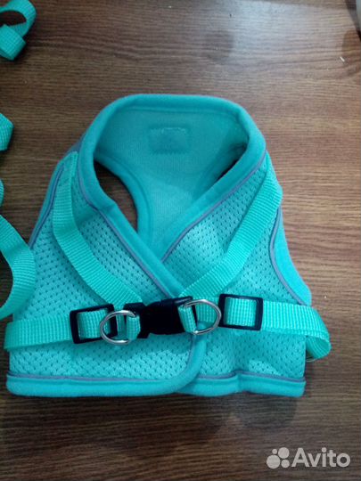 Шлейка с поводом