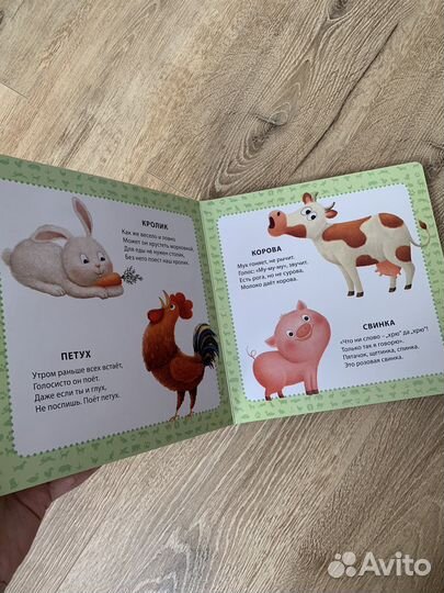 Книга для детей Мои первые картинки и стихи Робинс