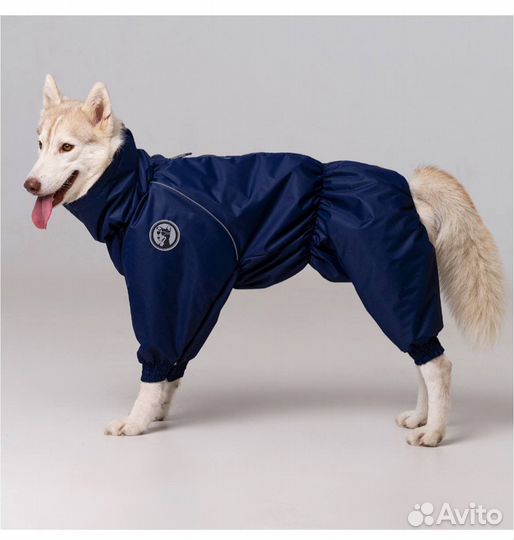 Комбинезон для собаки