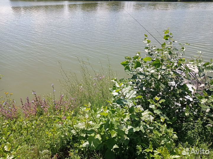 Приглашаем на рыбалку