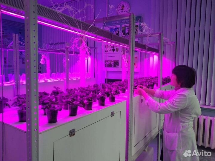 Аэропоника установка