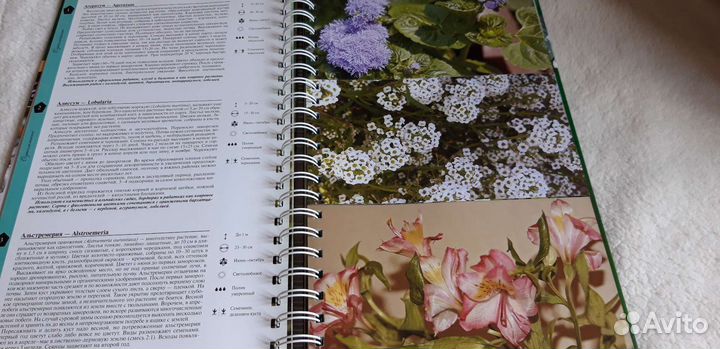 Книга про цветы на даче