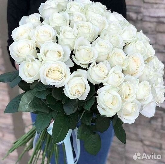 Розы Высокие 150см 160см 170см 180см 190см 2м