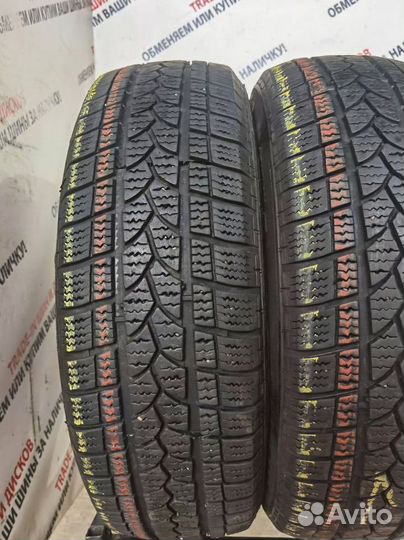 Tigar Winter 1 195/65 R15 95T