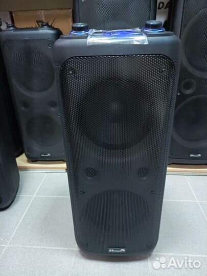 Колонка electronic 20-62 1000Ватт, 2-микрофона