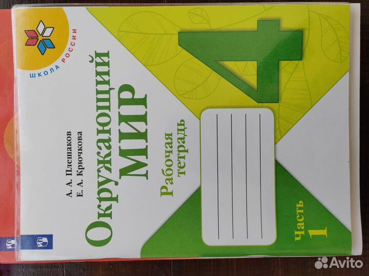 Рабочие тетради 4 класс окружающий мир
