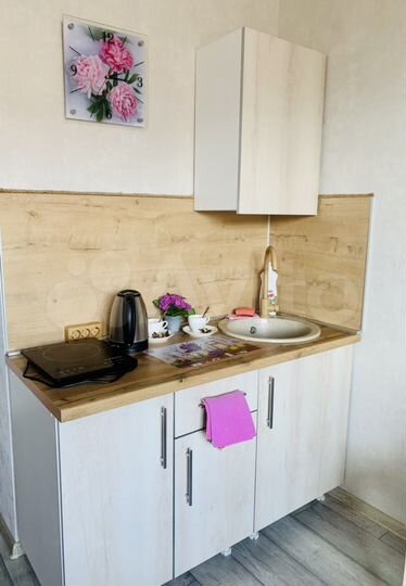 1-к. квартира, 24 м², 9/10 эт.