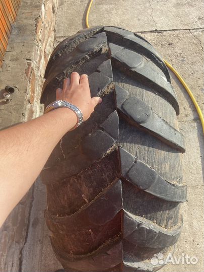 Колеса ободрыши