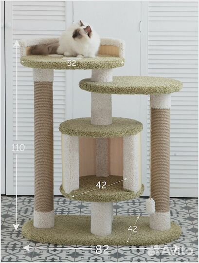 Комплекс Котомастер 