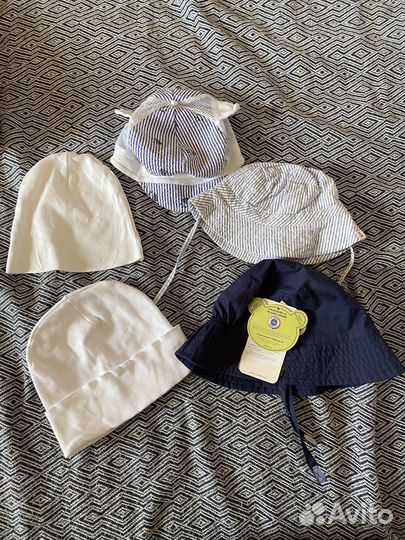 Панамы 1-2 года