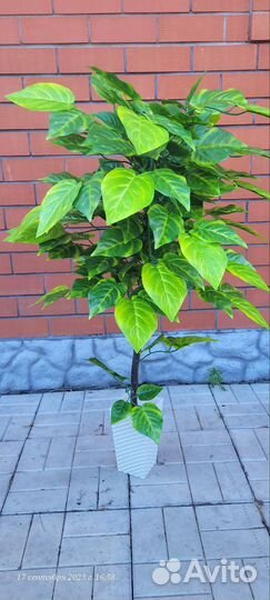 Искусственное дерево