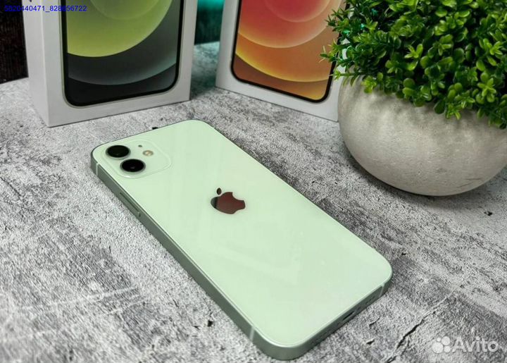 iPhone 12, 256 ГБ