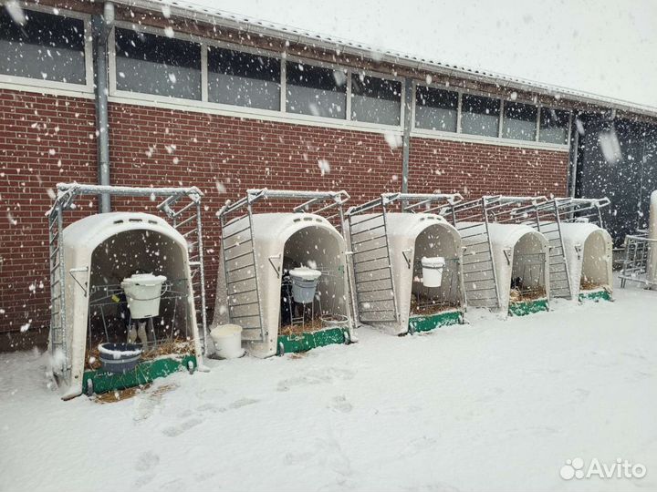 Домики для телят