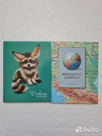 Дневник школьный