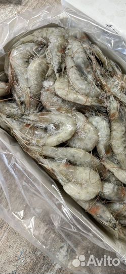 Креветка 2кг