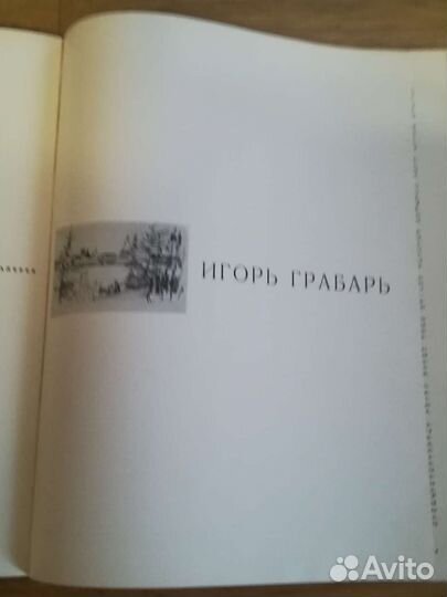 Книга Врубель