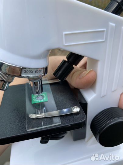 Цифровой микроскоп