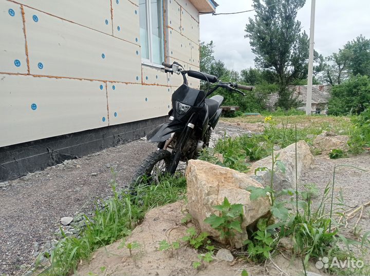 Regulmoto seven medalist