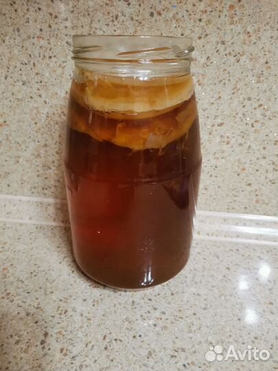 Чайный гриб комбуча