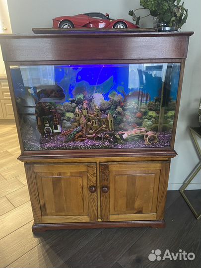 Аквариум