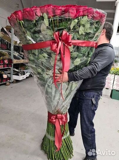 Букет роз 101 роза 51 роза