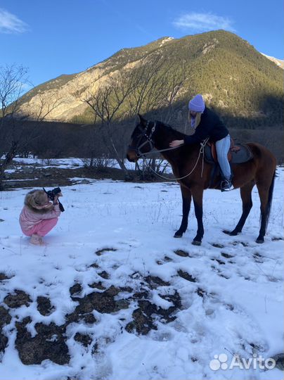 Конный прокат