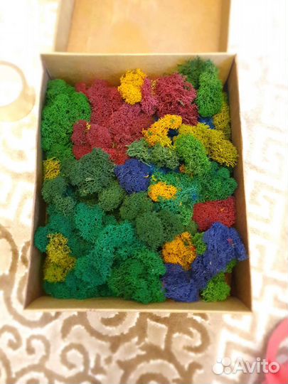 Стабилизированный мох