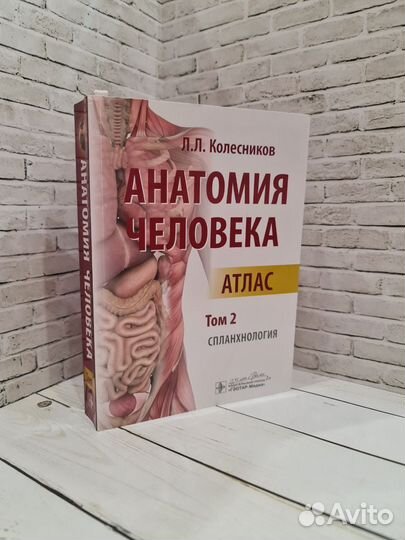 Атлас по анатомии