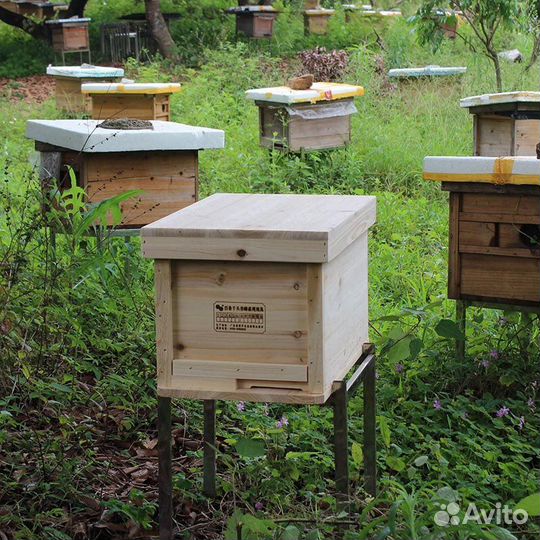 Продам пчел