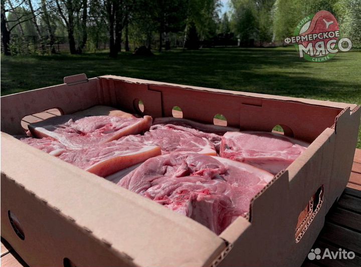 Мясо свинина