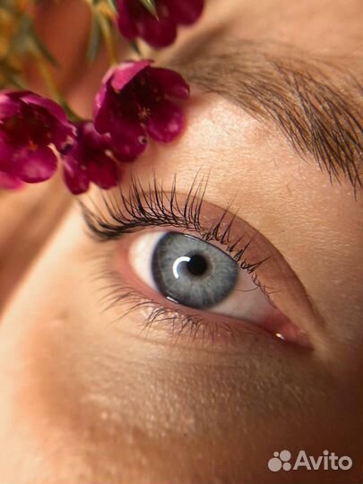 Ламинирование ресниц, брови