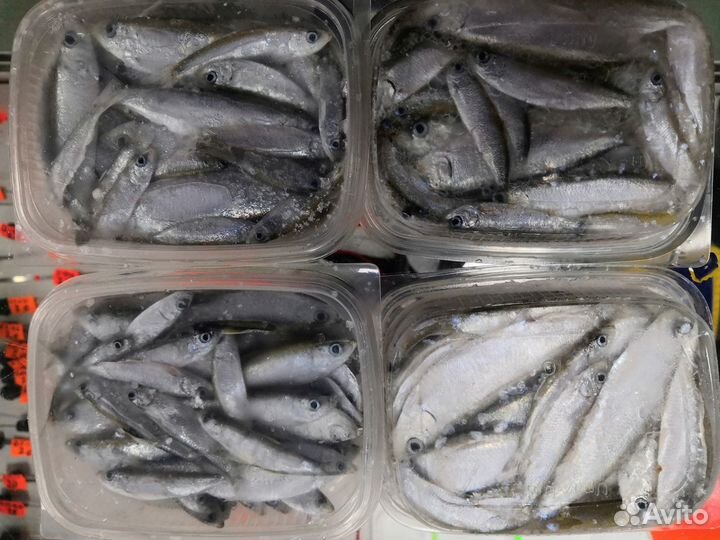 Тюлька для рыбалки