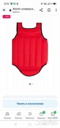 Защитный жилет