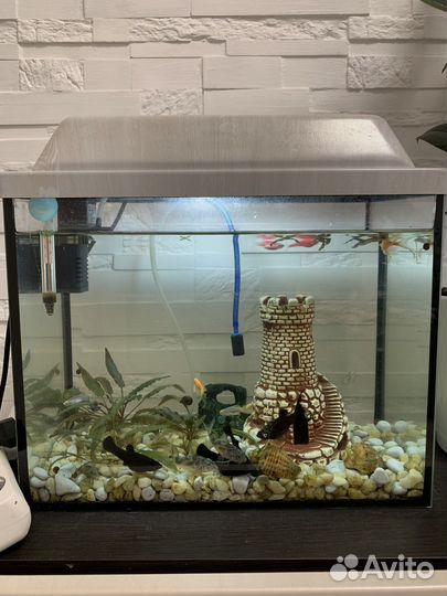 Аквариум с крышкой