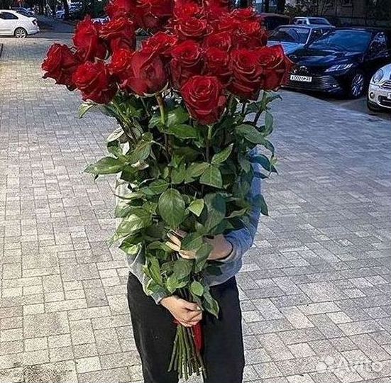 Высокие розы