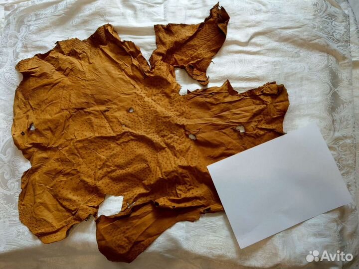 Страусиная кожа, кожа страуса