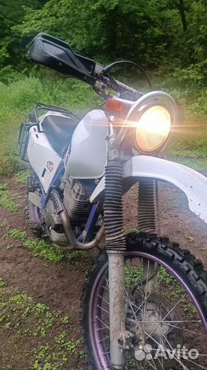 Yamaha ttr 250 raid