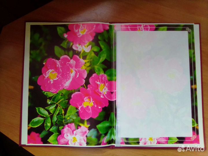 Папки для поздравлений