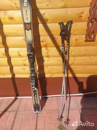 Горные лыжи