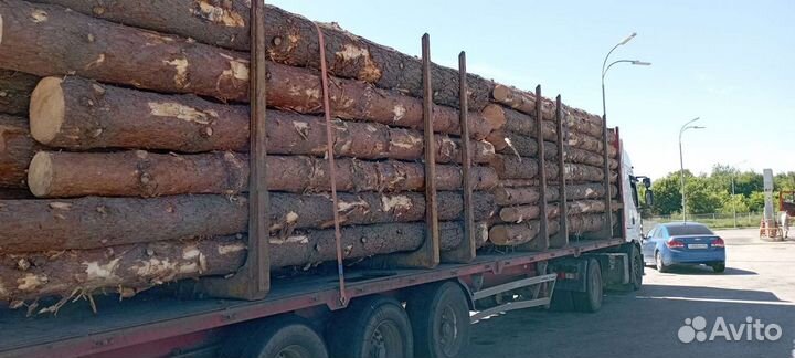 Продам лес кругляк пиловочник