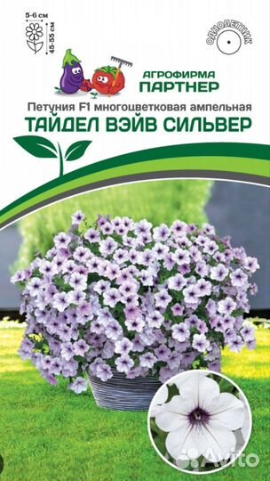 Вегетативная петуния