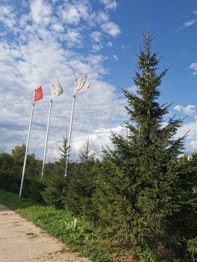 Участок 7,7 сот. (ИЖС)