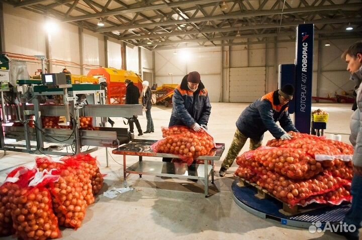 Разнорабочий с ежедневной оплатой