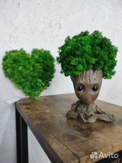 Стабилизированный мох картина