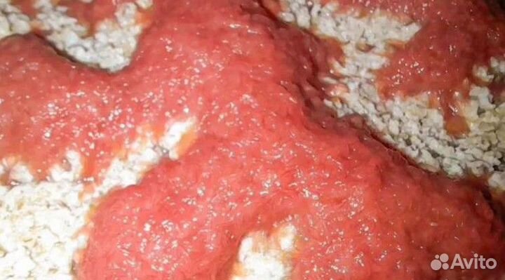 Домашний трубочник изя