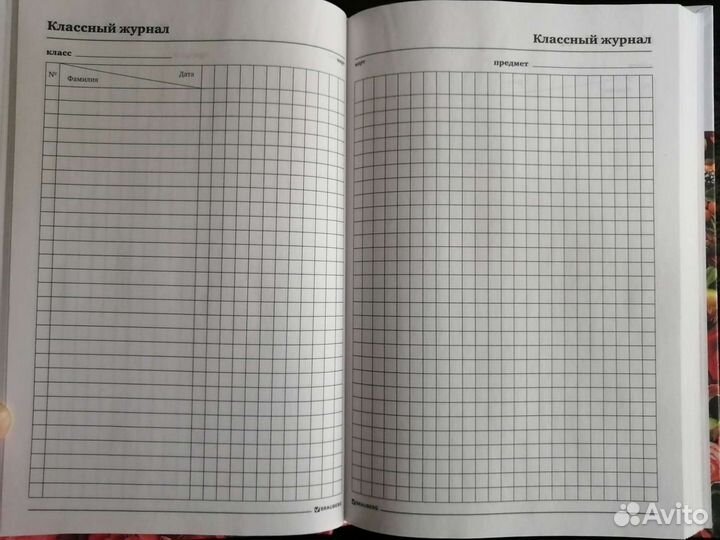 Ежедневник учителя