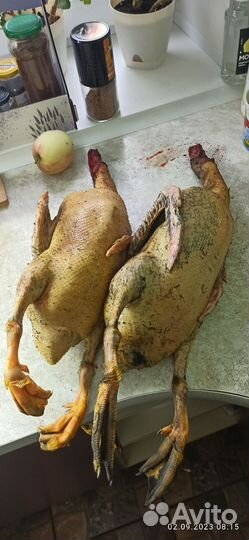 Мясо утки (башкирская, голубой фаворит)