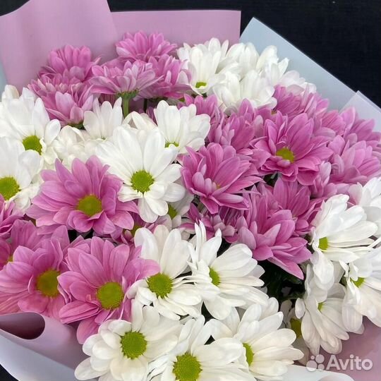 Букет из 7 белых и розовых хризантем